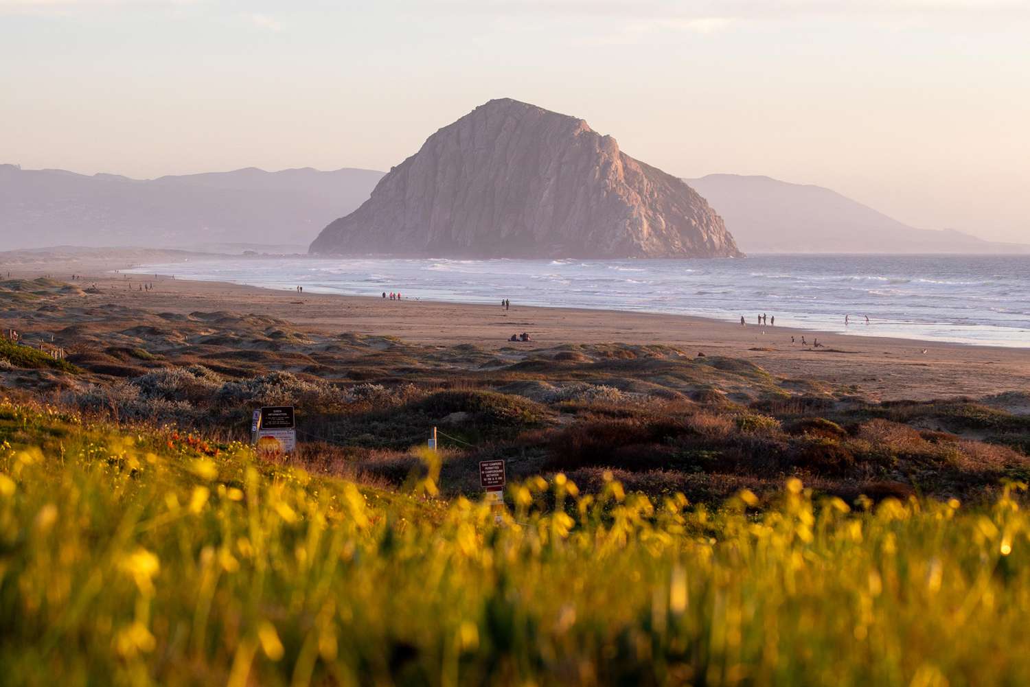 Looking over grass onto Morro Bay