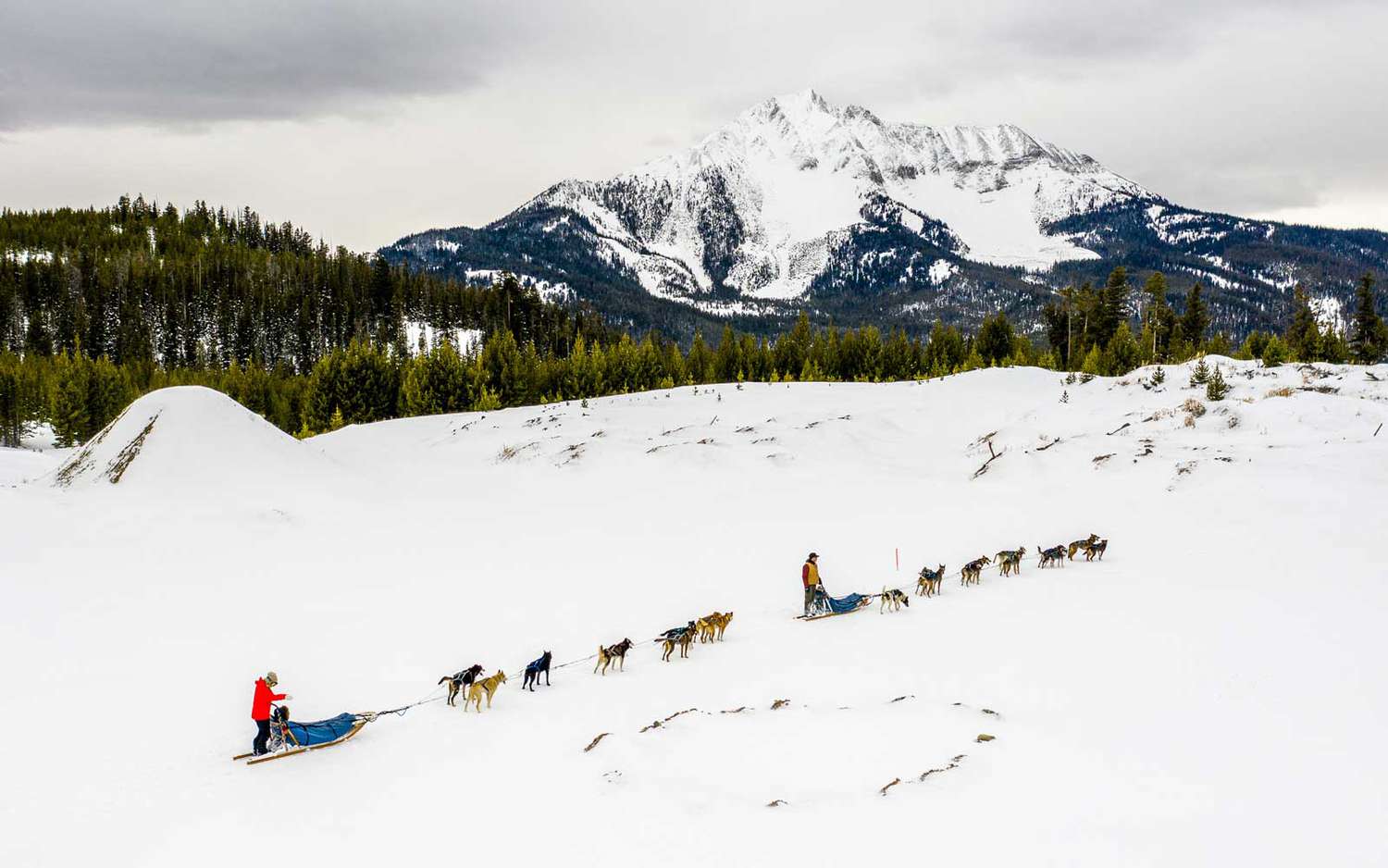 Promenade en traîneau à chiens à Big Sky Resort dans le Montana