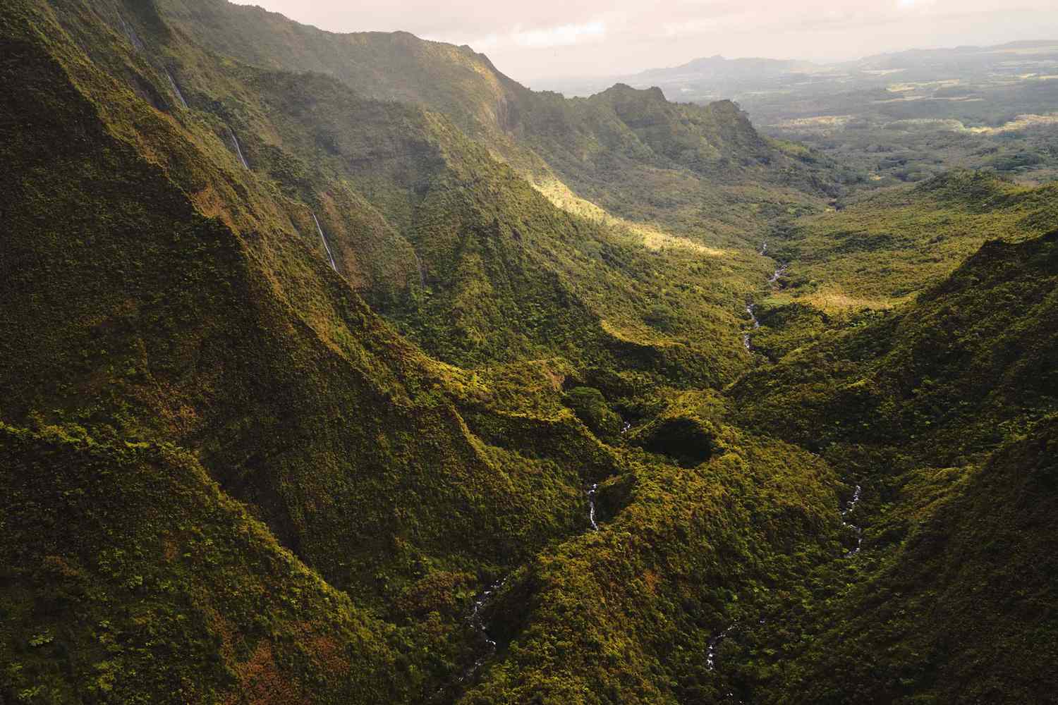 Paysage de canyon verdoyant sur l'île de Kauai