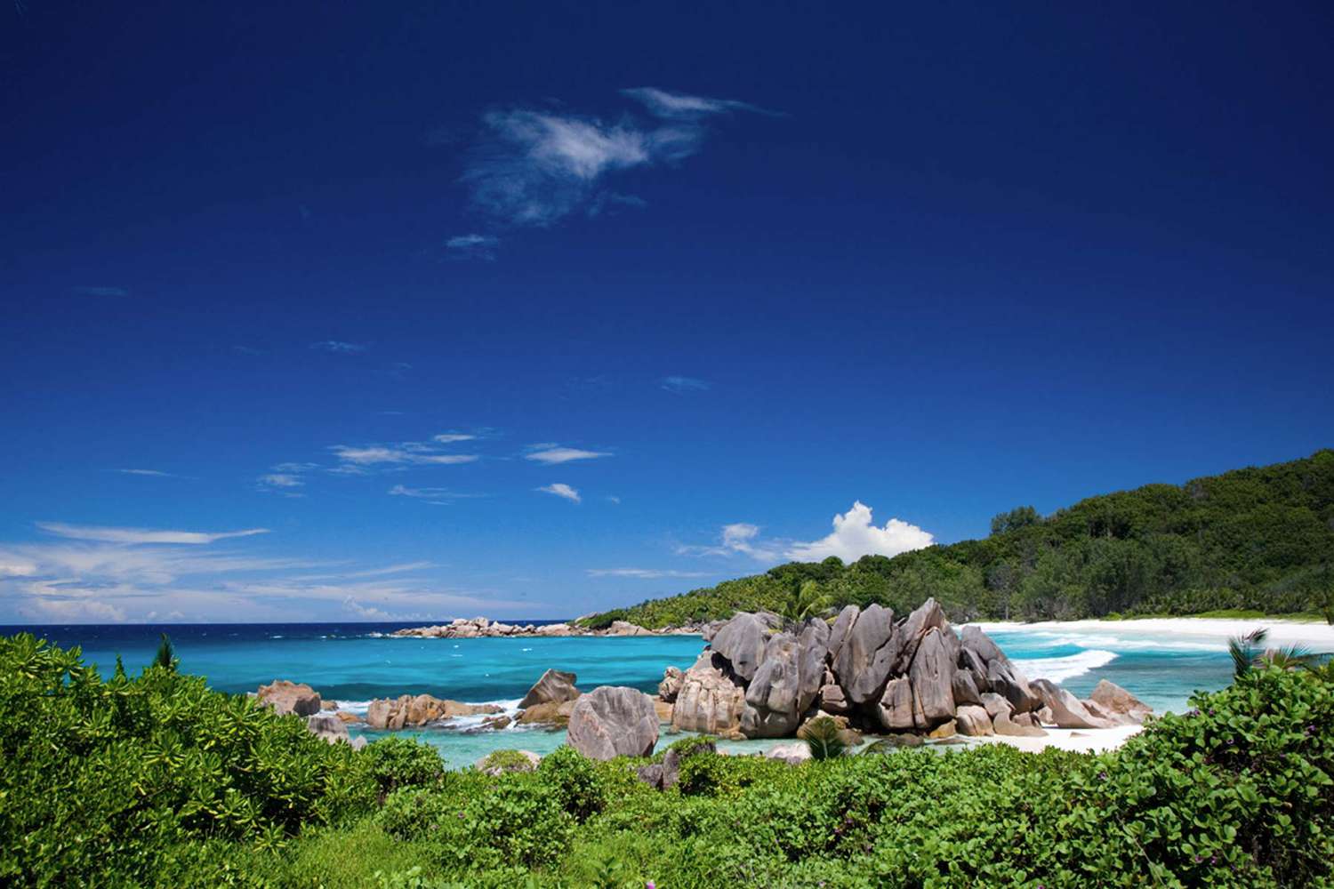 Vue d'une plage aux Seychelles