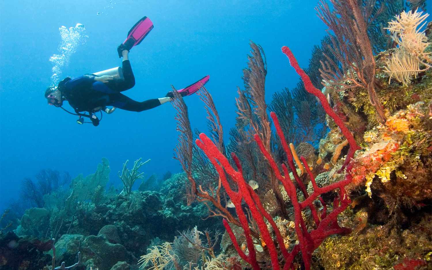 Ambergris Caye, Belize