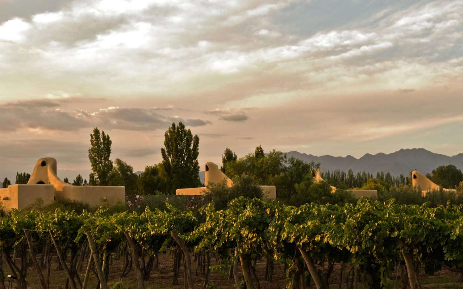 Cavas Wine Lodge