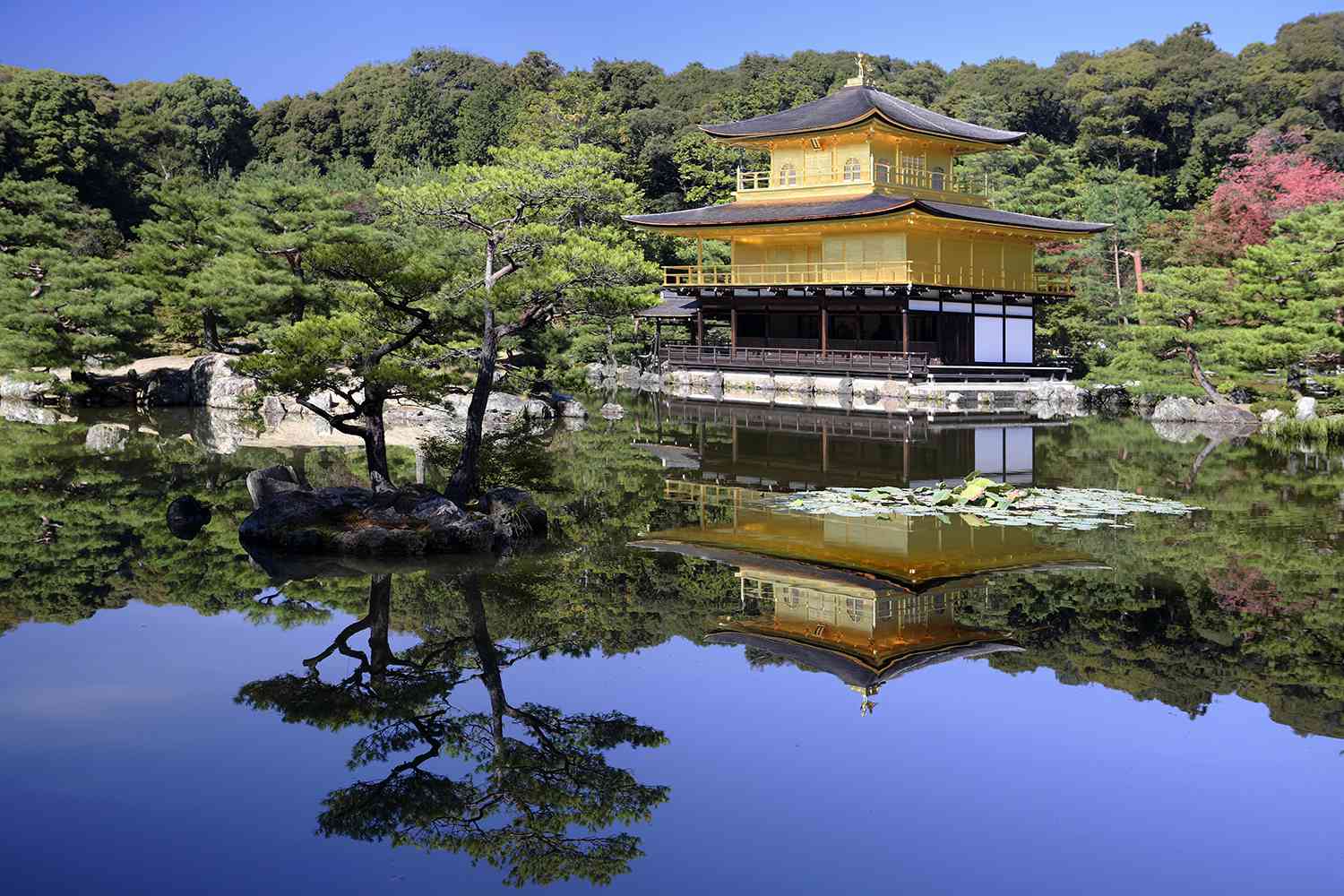 Kinkaku-Ji Temple in Japan
