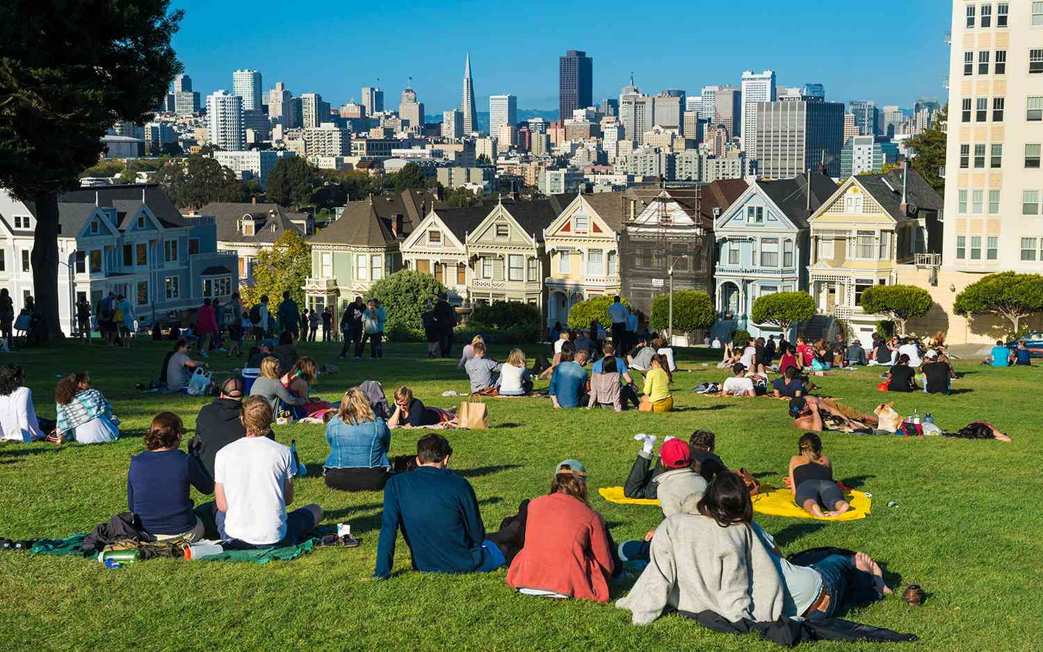 San Francisco, Californie, Parc des 'Painted Ladies'