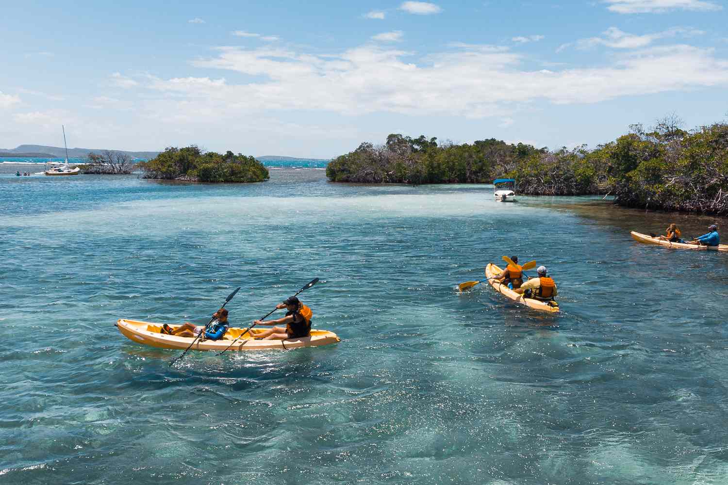 Des personnes faisant du kayak au large de la côte de Parguera