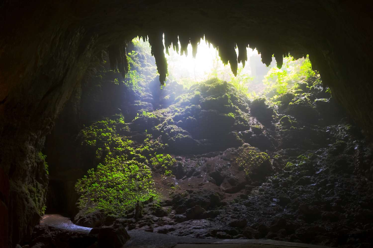 Entrée du Parc des grottes de Río Camuy ou Parque de las Cavernas del Rio Camuy, Porto Rico