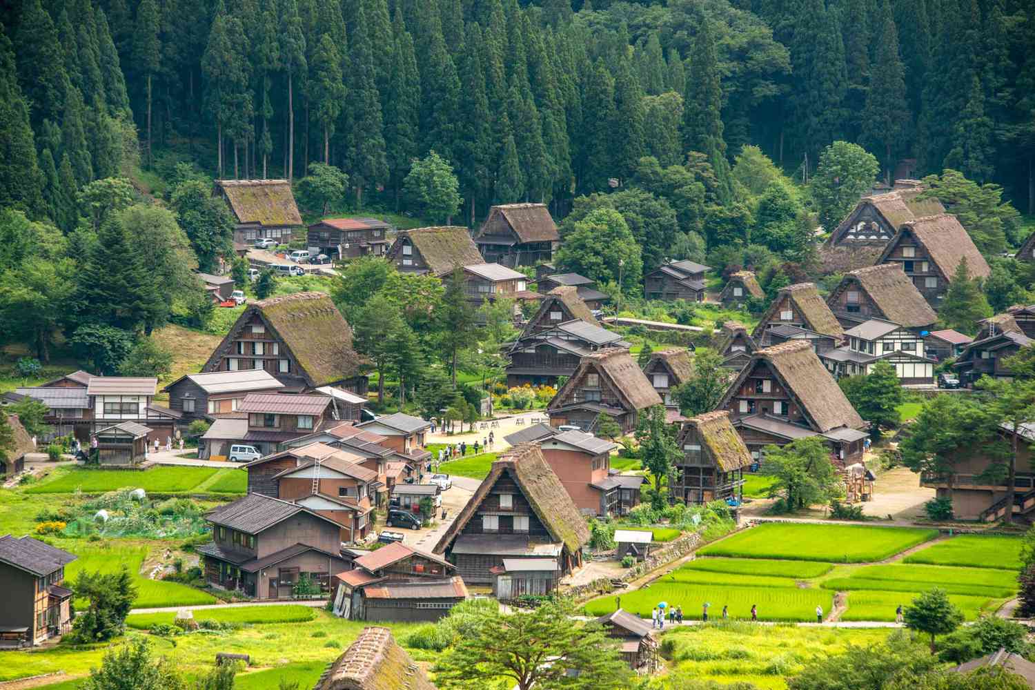 Vue aérienne des maisons dans le village de Shirakawa-go, Japon