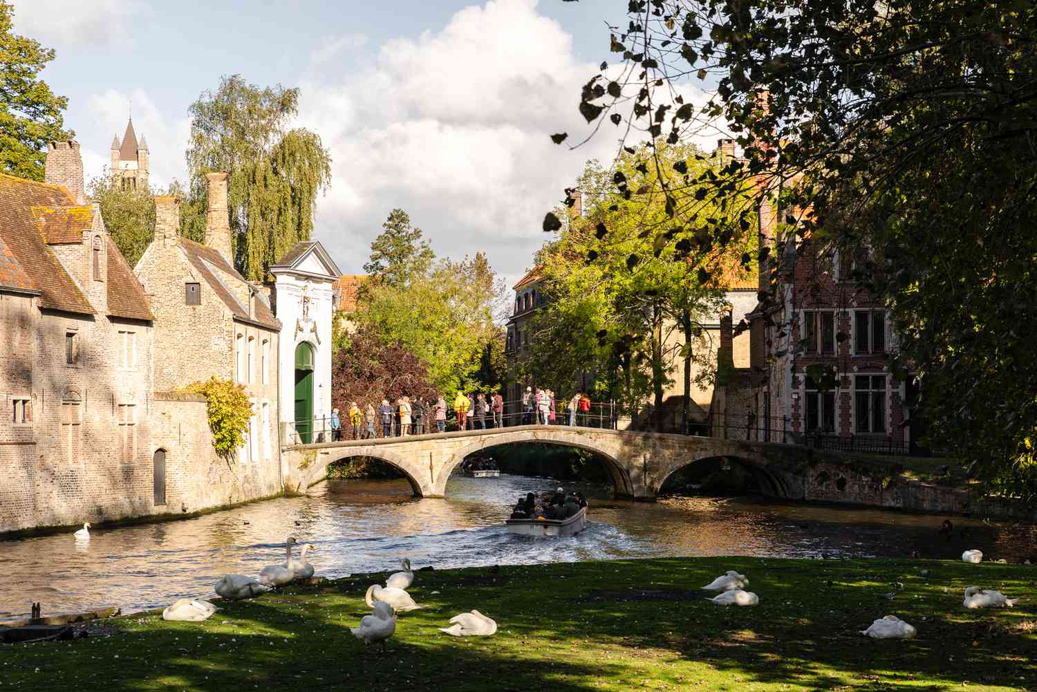 Des gens traversent un pont et des cygnes dans un parc à Bruges