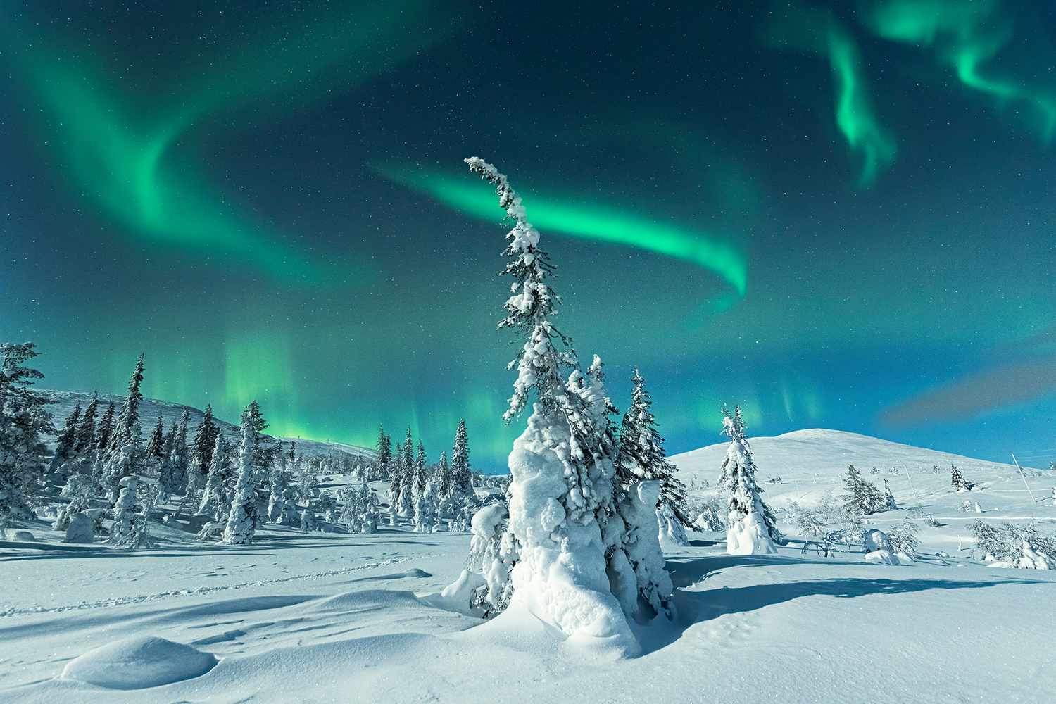 Lumières de lune sur une forêt enneigée sous les aurores boréales, Levi, Laponie, Finlande