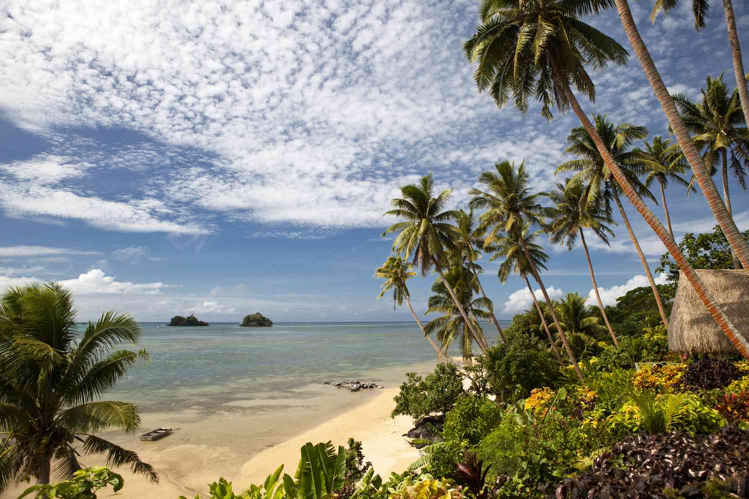 View from the coastline of Fiji with vegetation and palm trees looking out over clear blue water.