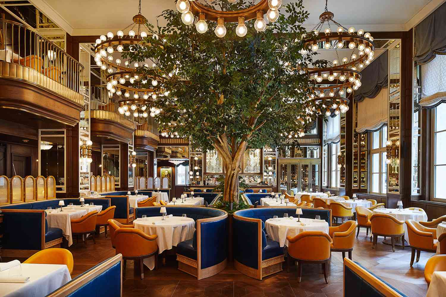 Restaurant with tree in the middle of the dining room