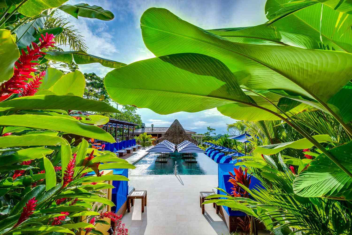 Végétation luxuriante et piscine à Nayara Springs