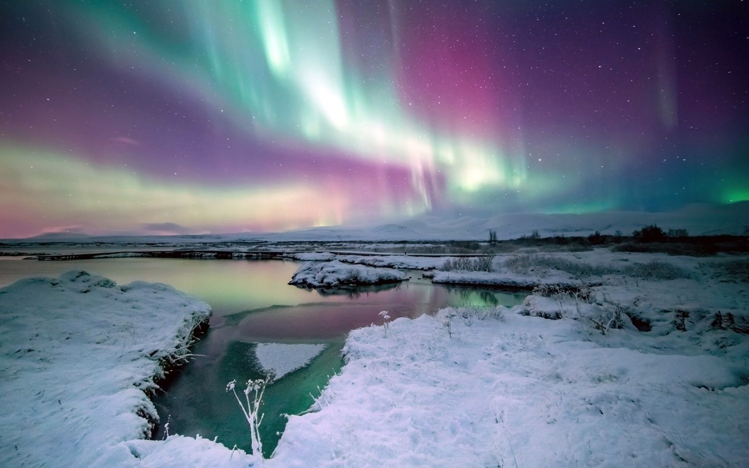 Aurores boréales au parc national de Thingvellir en Islande