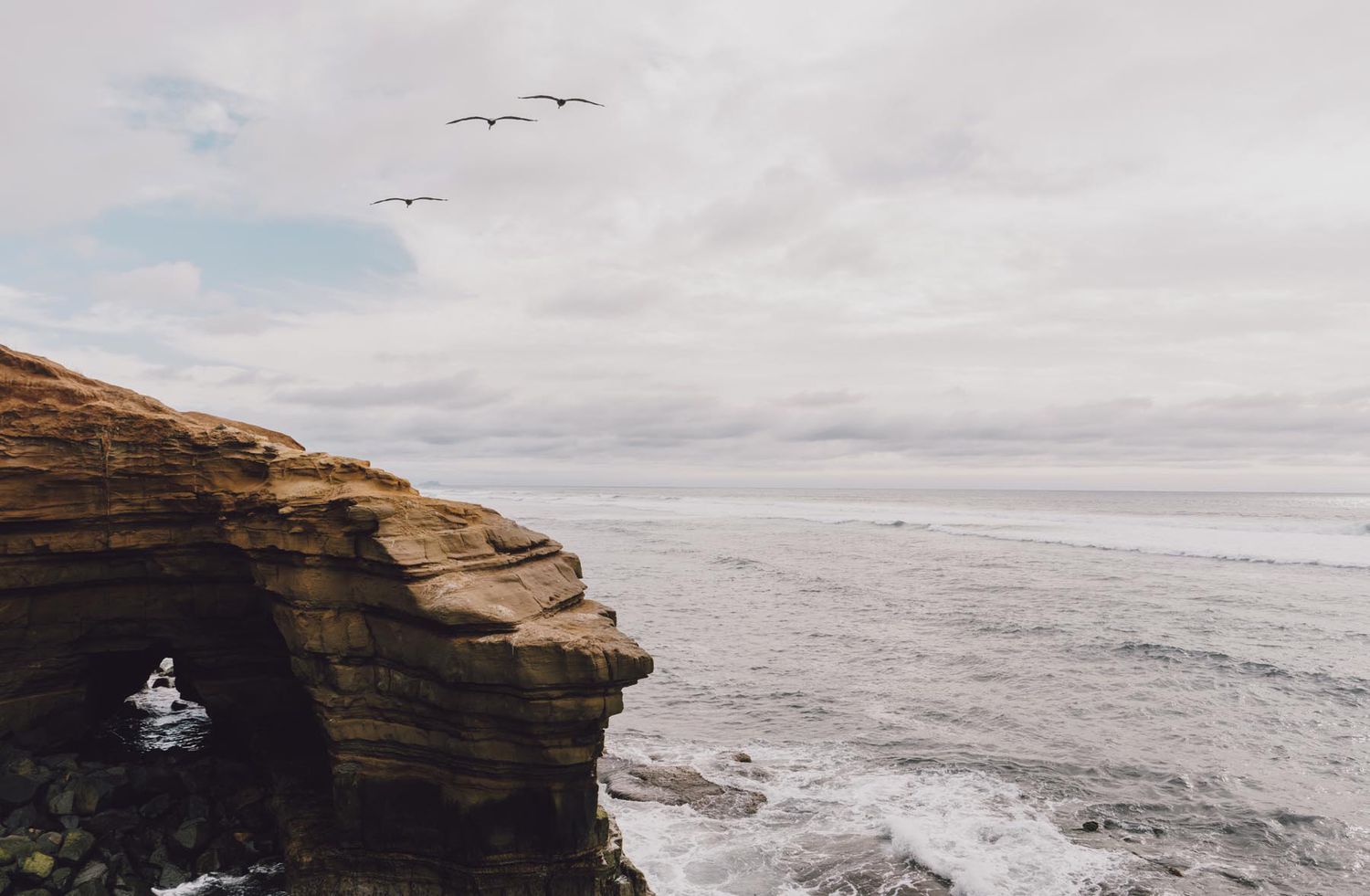 Oiseaux survolant les falaises au coucher du soleil