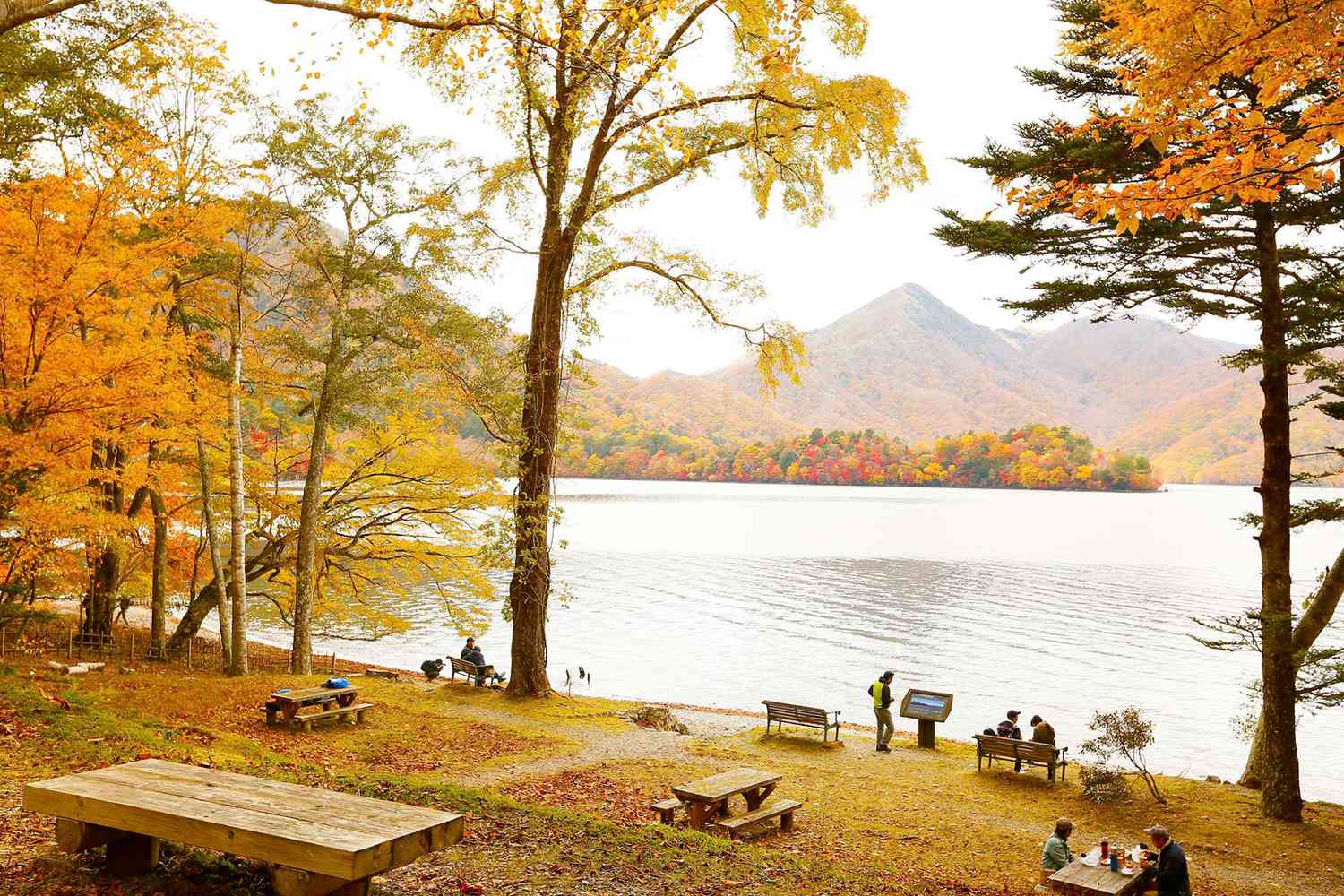 People sitting around Lake Chuzenji in Nikko National Park