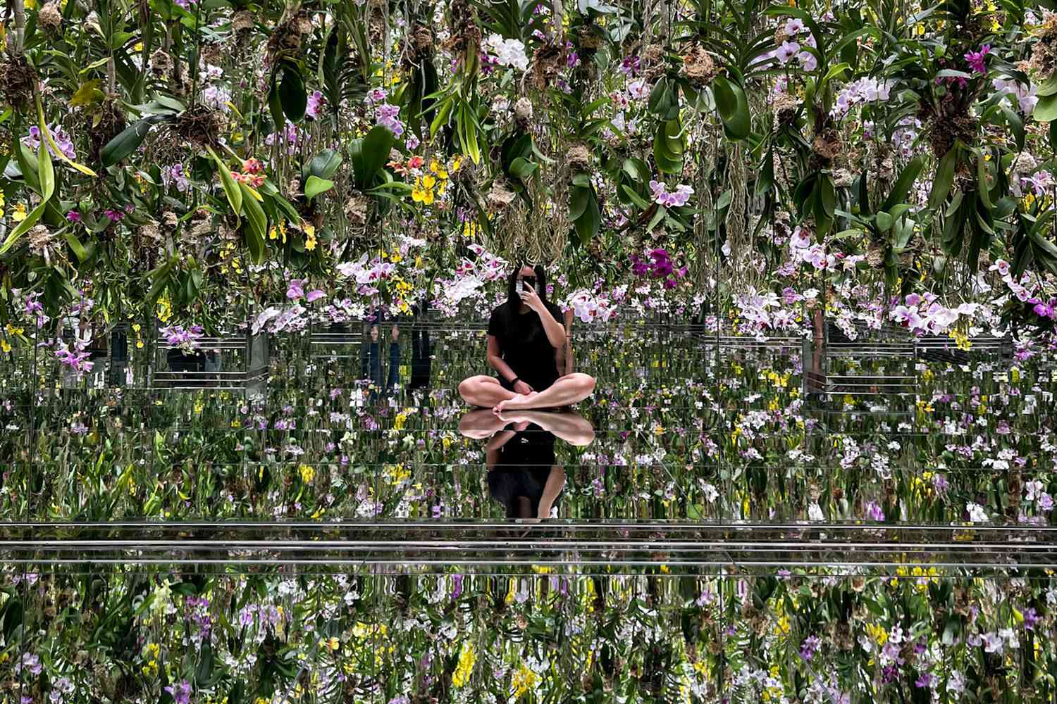 Le Jardin des Fleurs Flottantes : Les Fleurs et moi sommes de la Même Racine, le Jardin et moi ne faisons qu'Un au Teamlab Planets à Tokyo