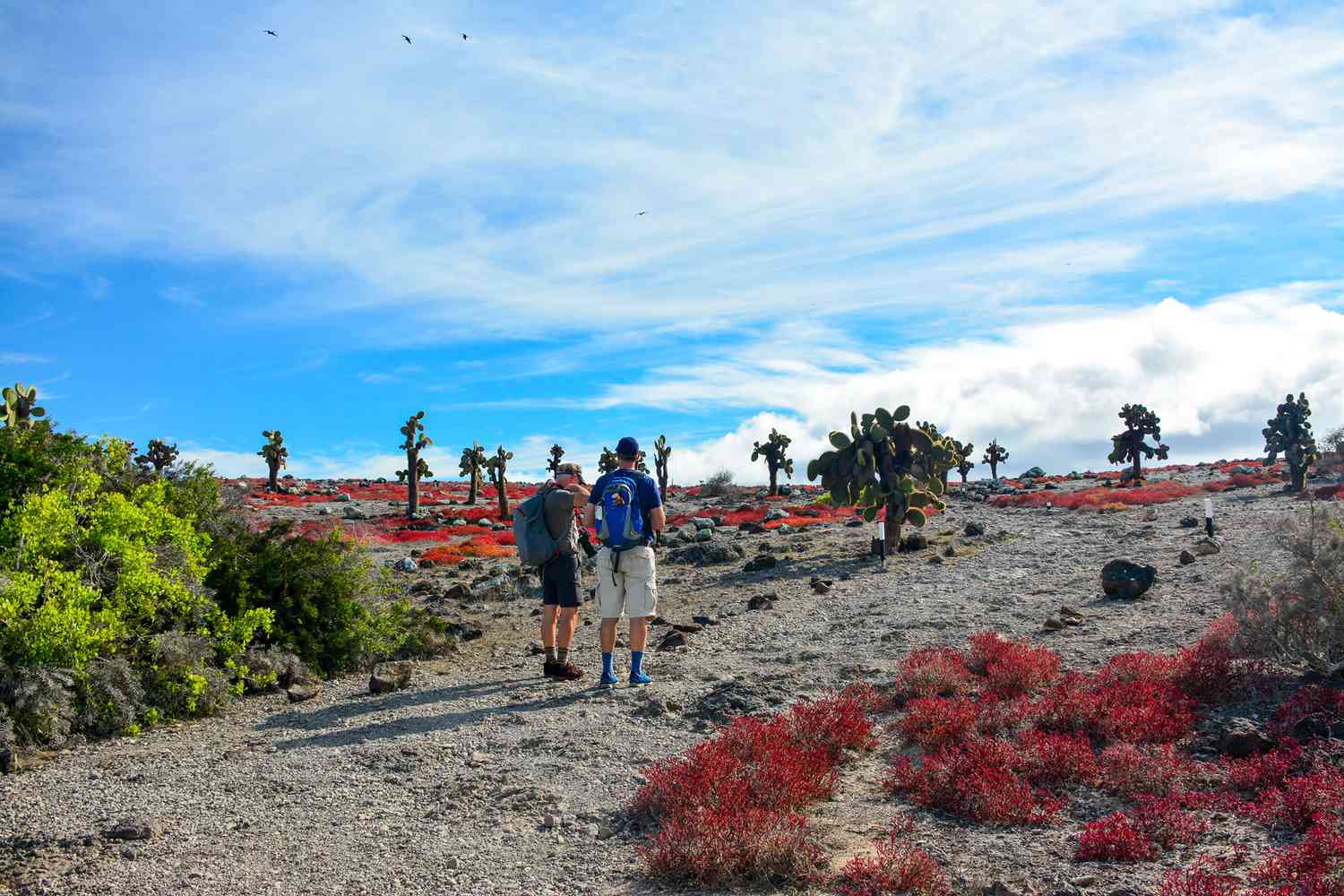Deux personnes explorant South Plazas aux Galápagos