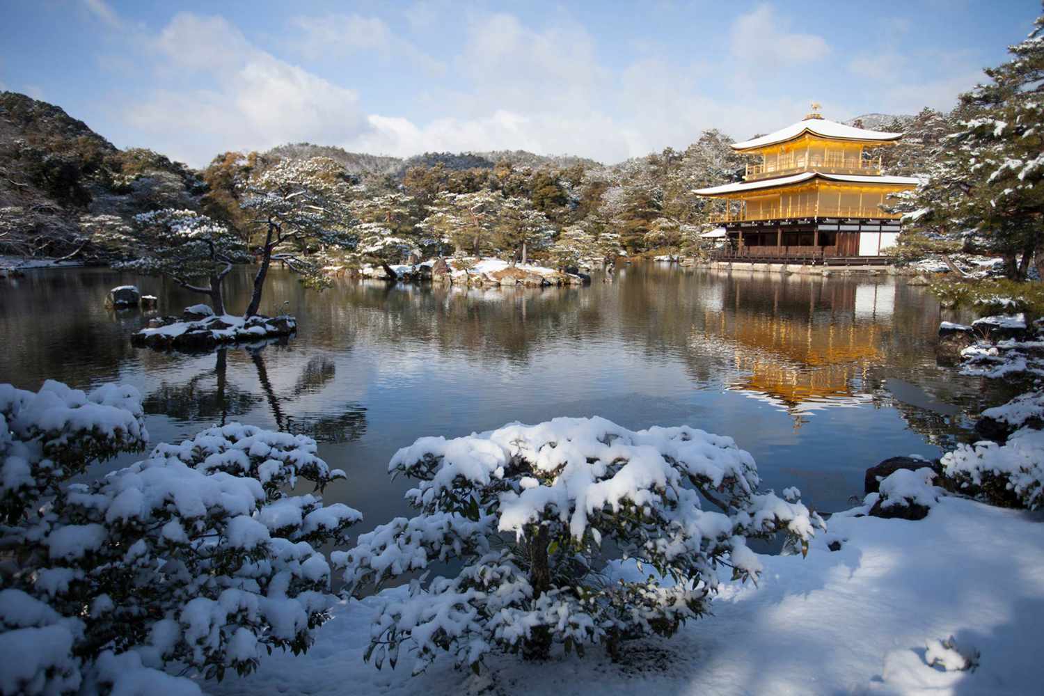 Un étang entouré de buissons couverts de neige à Kyoto, Japon