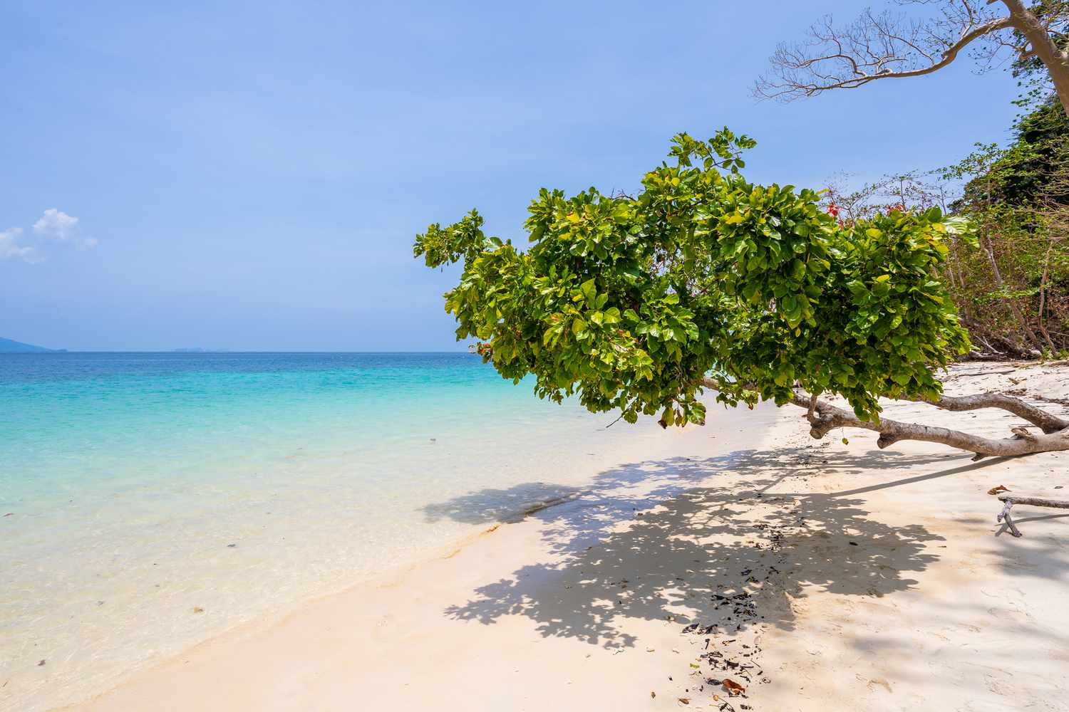 Plage de sable magnifique à Ko Kradan dans la province de Trang, Thaïlande