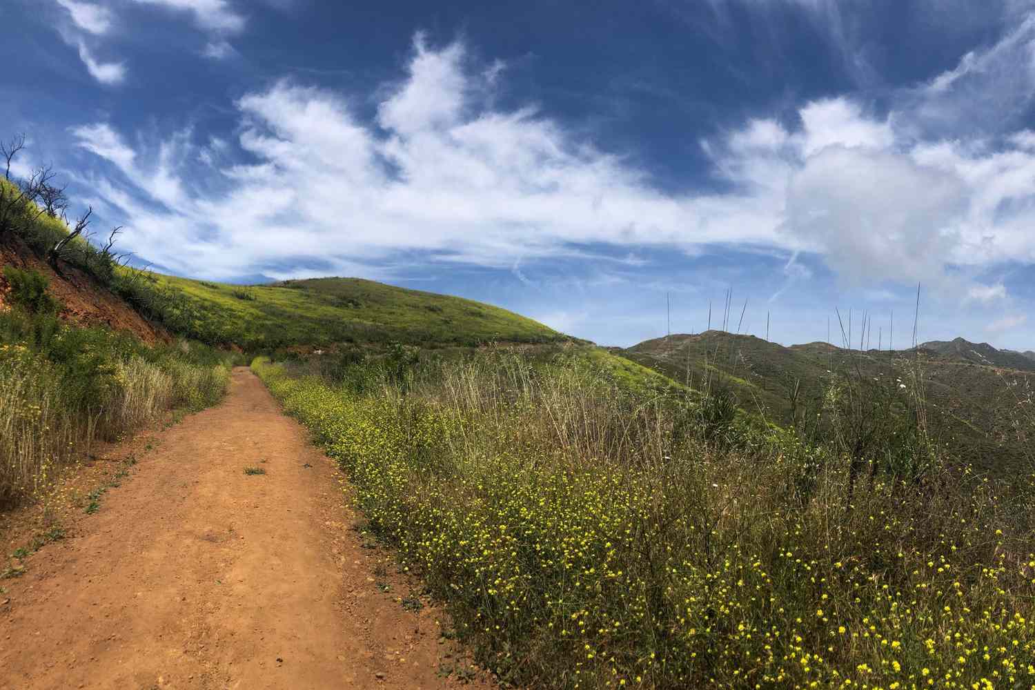 Sentier de randonnée le long des collines verdoyantes de Malibu