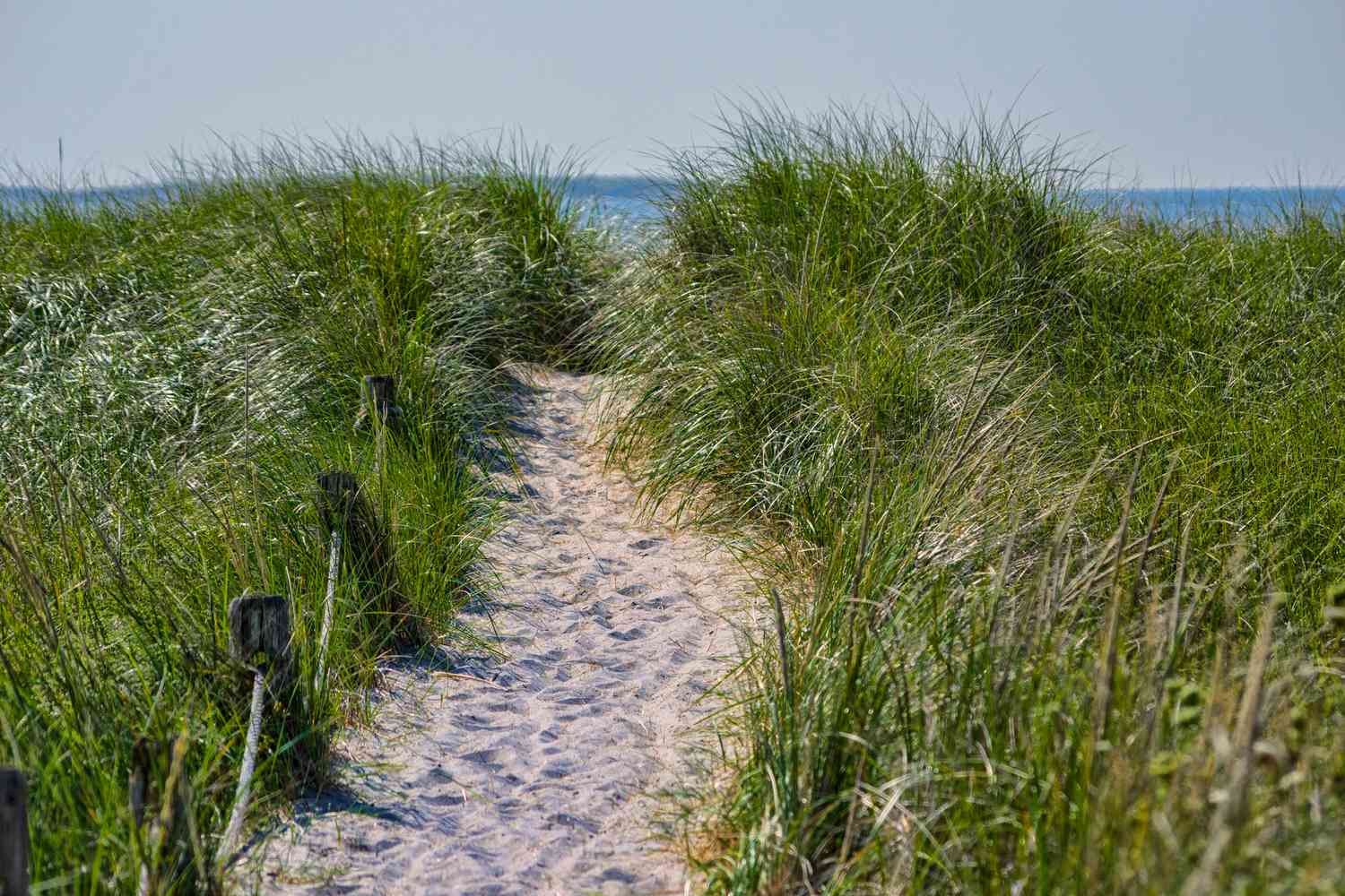 Un chemin de dune à herbe soufflé par le vent à Biddeford Beach, Maine. L'océan Atlantique est visible au loin.