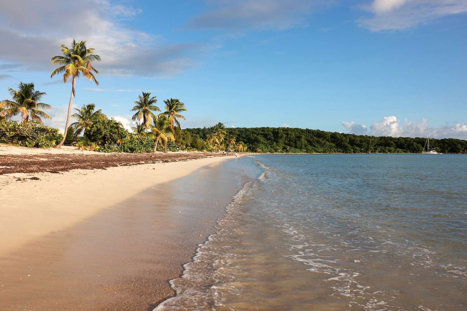 La plage Sun Bay est l'une des nombreuses plages de classe mondiale avec peu de monde sur l'île de Vieques, Porto Rico.