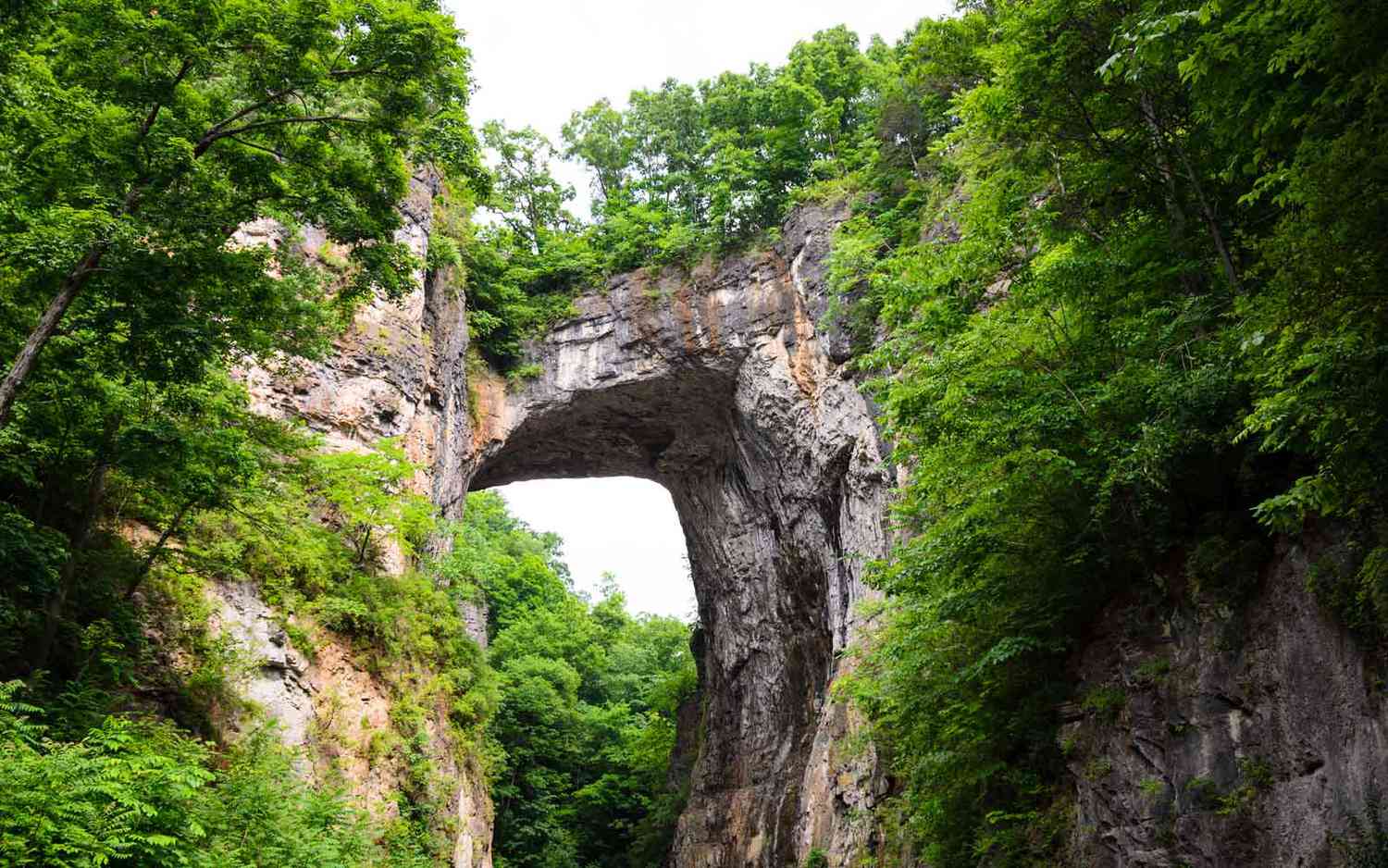 Virginia's 215-foot-tall Natural Bridge towers over a valley of trees and rock.