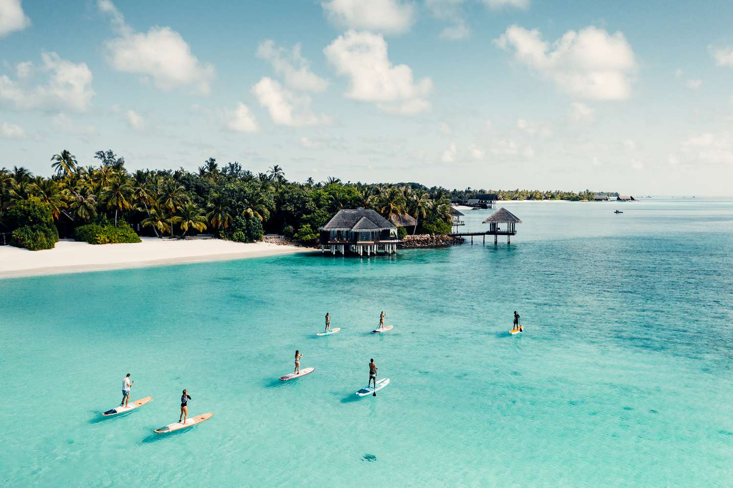 Paddleboarding dans l'océan