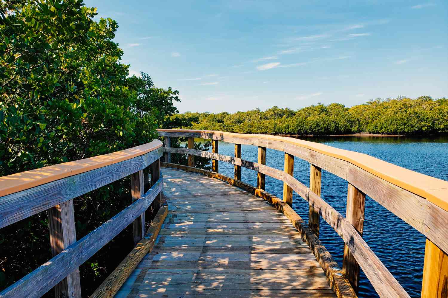 Étonnant point de vue sur la nature et les sentiers de marche au Riverwalk dans la ville de Bradenton, Floride