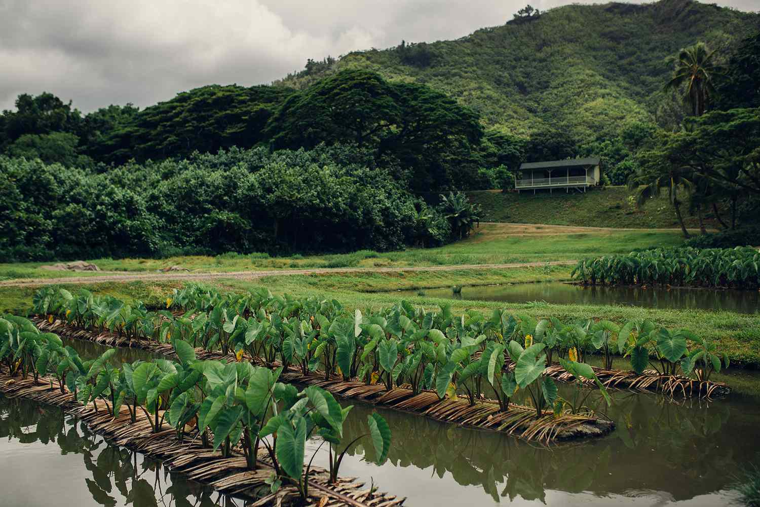 Réserve naturelle privée de Kualoa