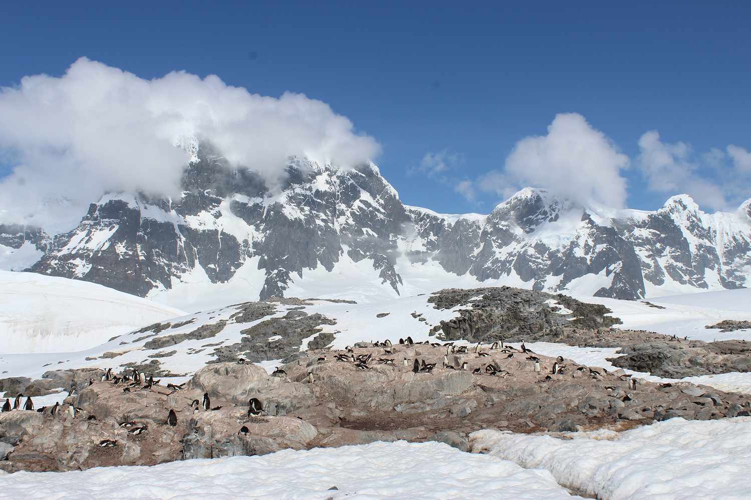 Cette croisière de 22 jours autour de l’Amérique du Sud et de l’Antarctique comprend des observations de baleines et de pingouins ainsi qu’une visite des îles Falkland — pour moins de 2000 $ par personne.
