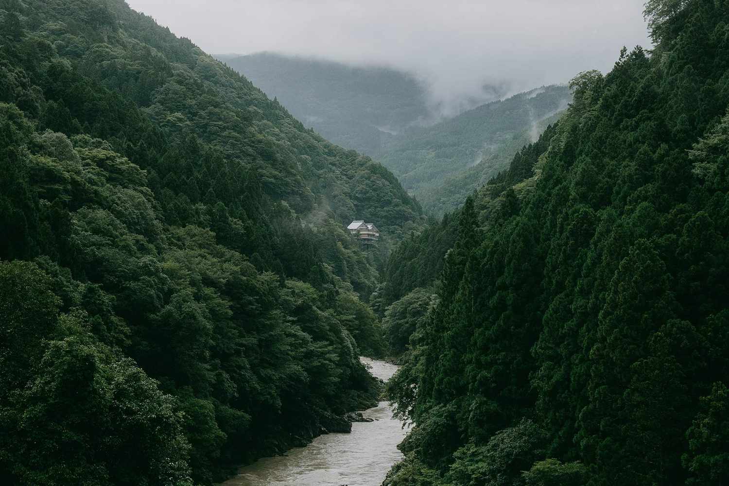 Une rivière traversant les montagnes dans la vallée d'Iya, Shikoku, Japon sous la pluie