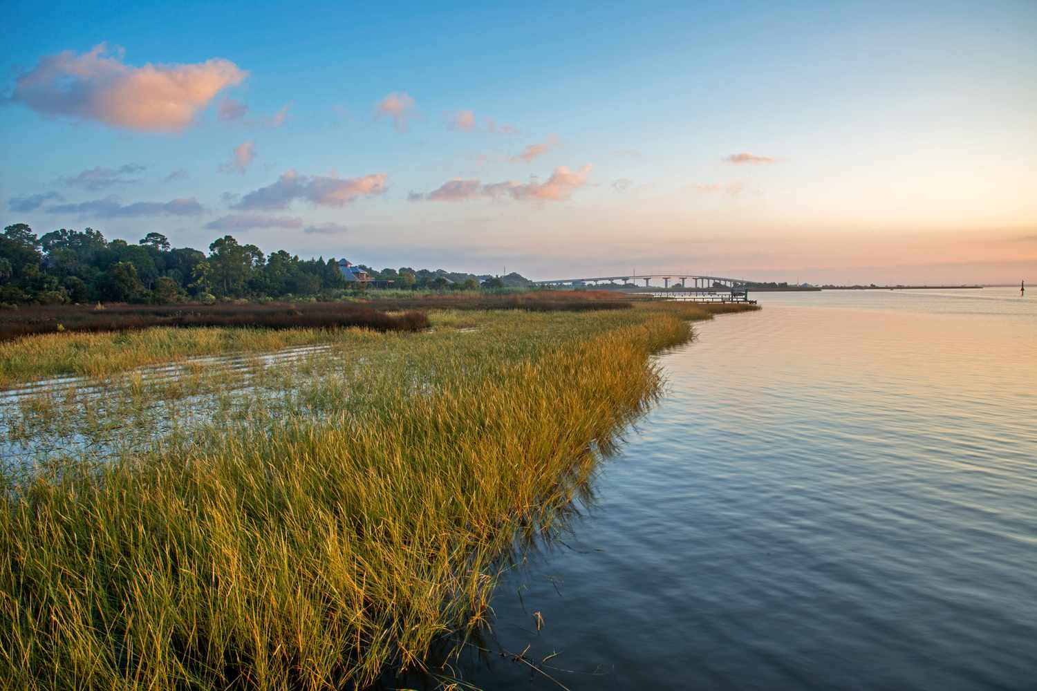 Apalachicola River at dawn, Florida, USA