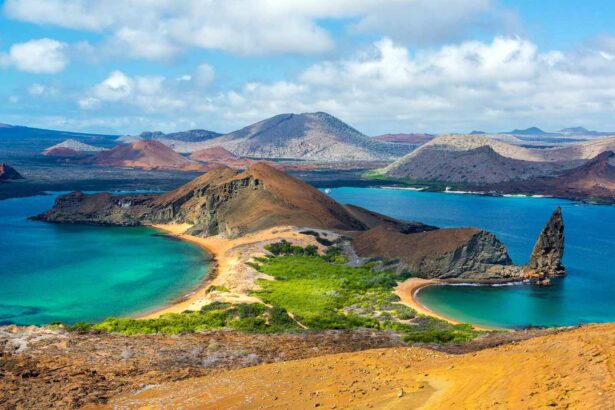 Le guide ultime des îles Galápagos