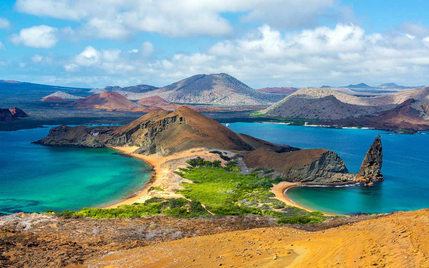 Le guide ultime des îles Galápagos