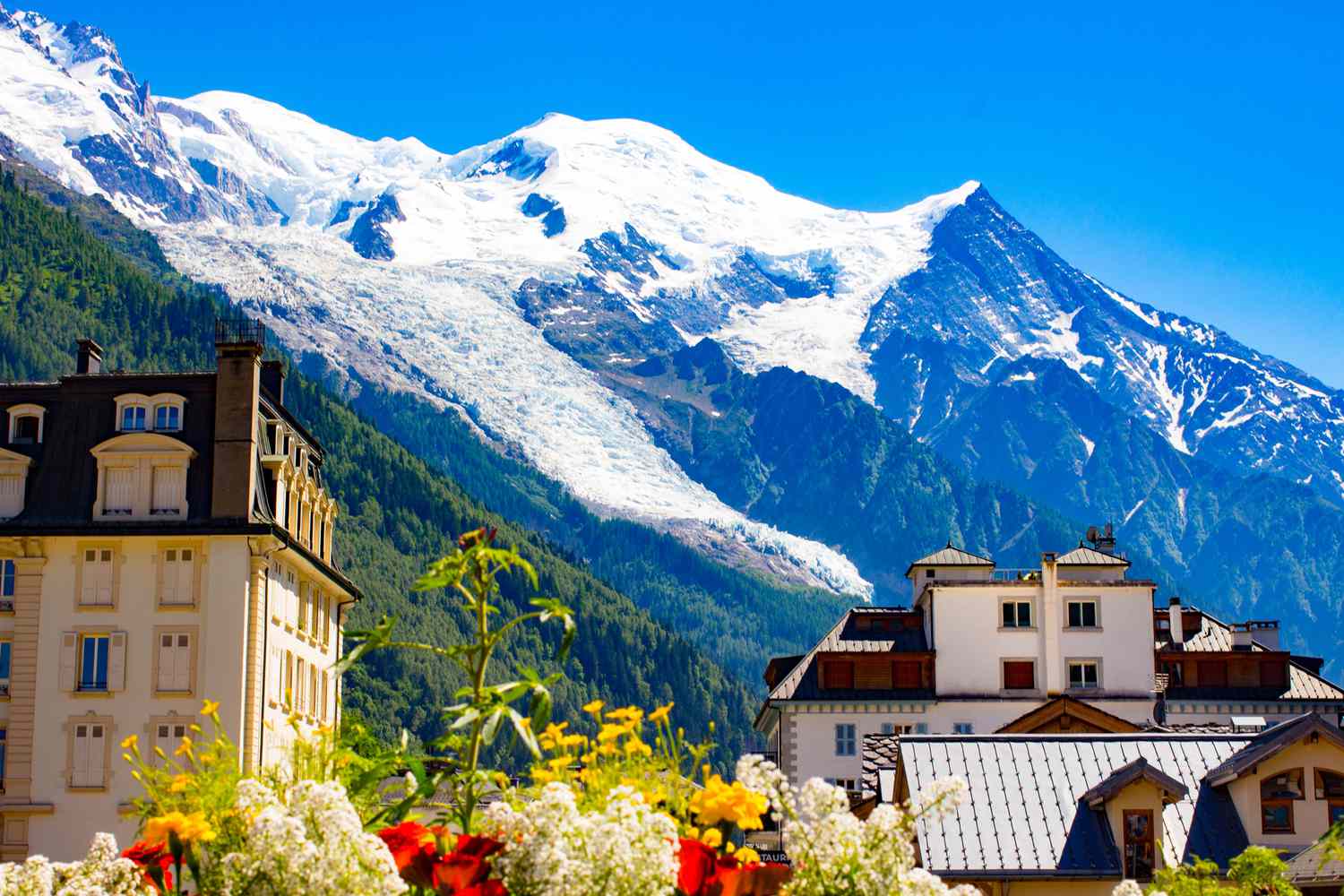 Belle vue des Alpes. Chamonix-Mont-Blanc, plus communément appelé Chamonix, est une commune du département de la Haute-Savoie dans la région Auvergne-Rhône-Alpes, dans le sud-est de la France. C'était le site des premiers Jeux Olympiques d'hiver en 1924. Chamonix est l'une des plus anciennes stations de ski en France.