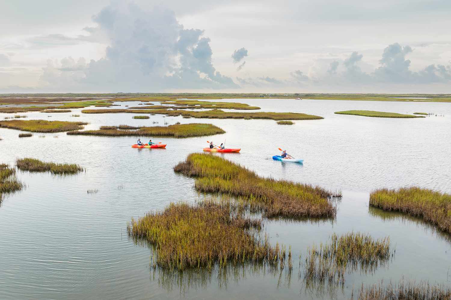 zones humides de l'île de Matagorda