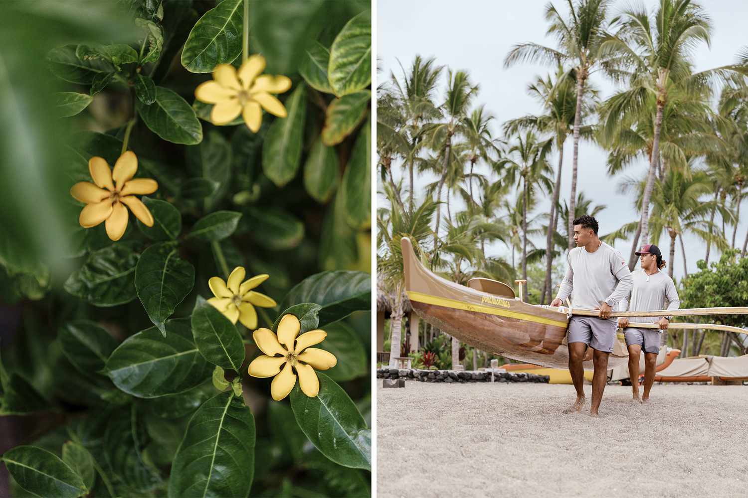 Une paire de photos du village de Kona, l'une montrant des fleurs jaunes, et l'autre montrant deux hommes portant une pirogue