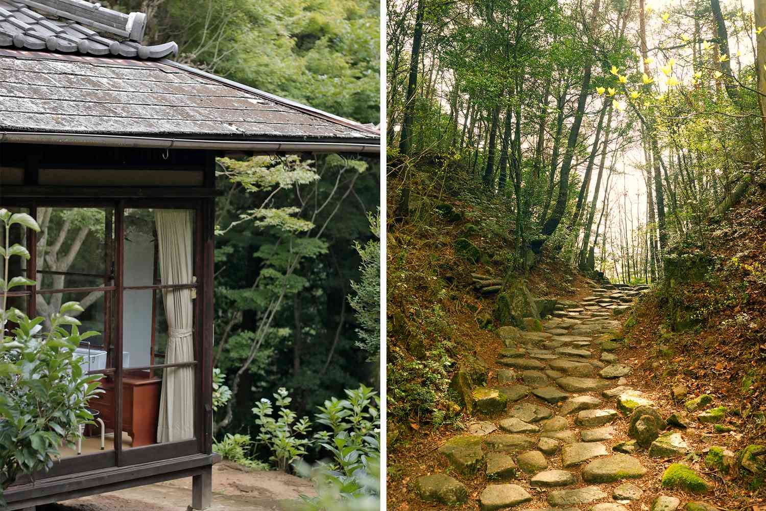 à gauche l'extérieur d'un coin d'une cabane avec une fenêtre en verre, à droite un chemin en pierre dans une forêt