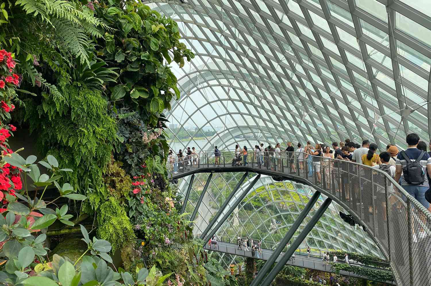 Dôme de la Cloud Forest à Singapour