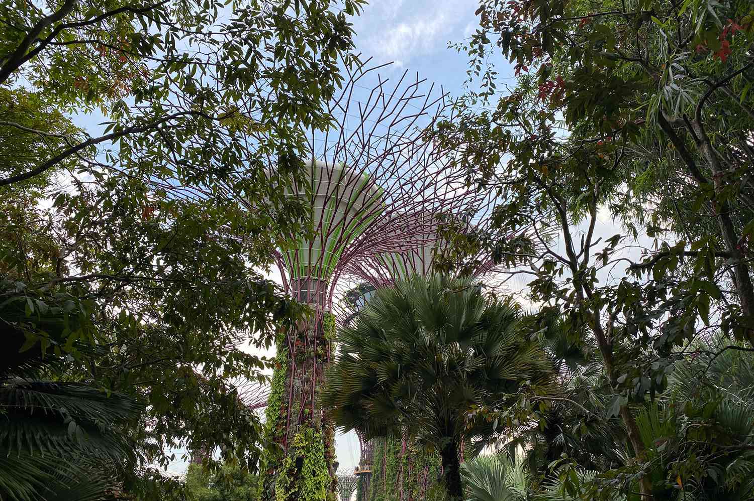 Jardins de la Baie à Singapour