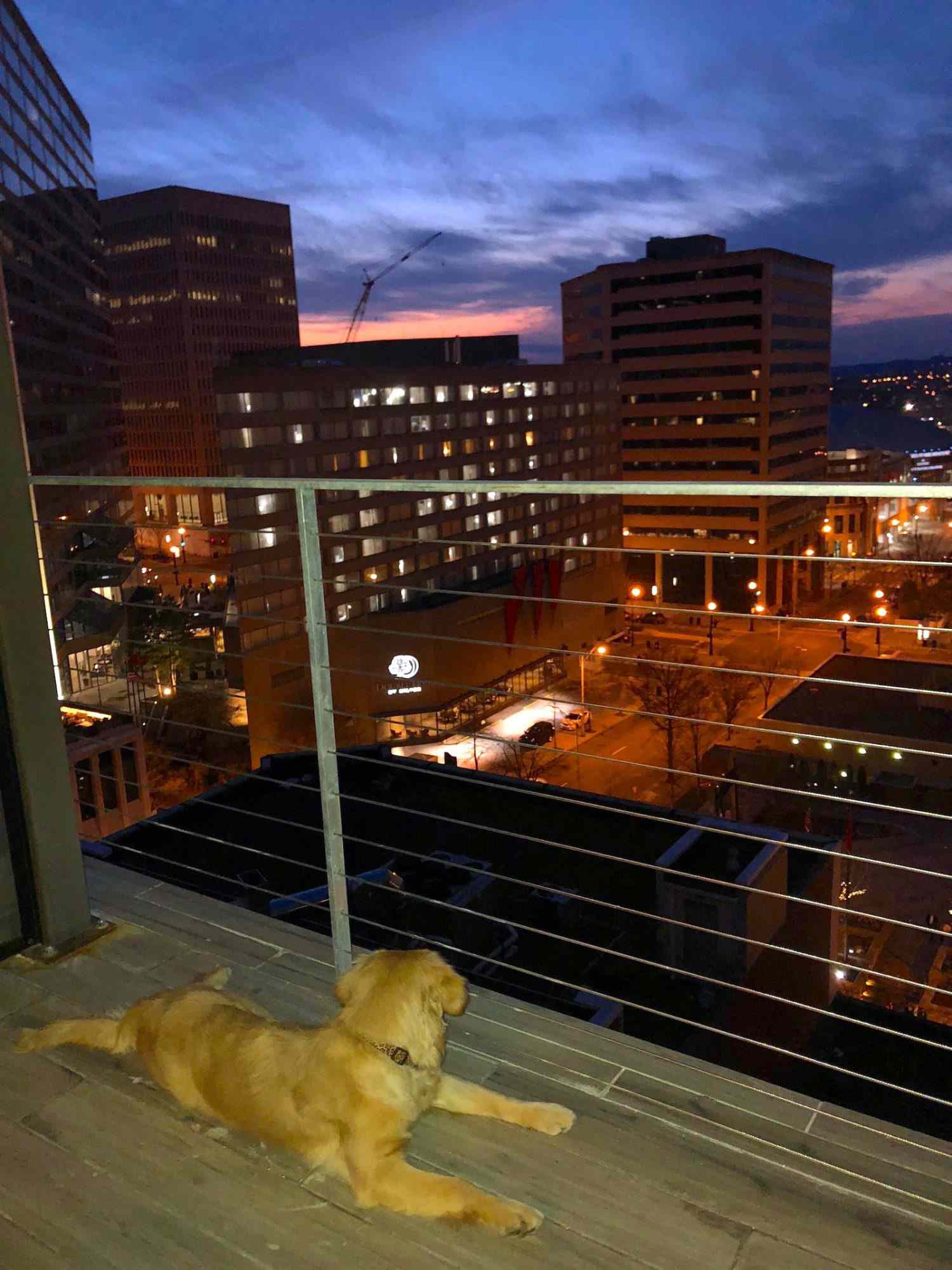 Bobby Hotel Nashville hôtel acceptant les chiens