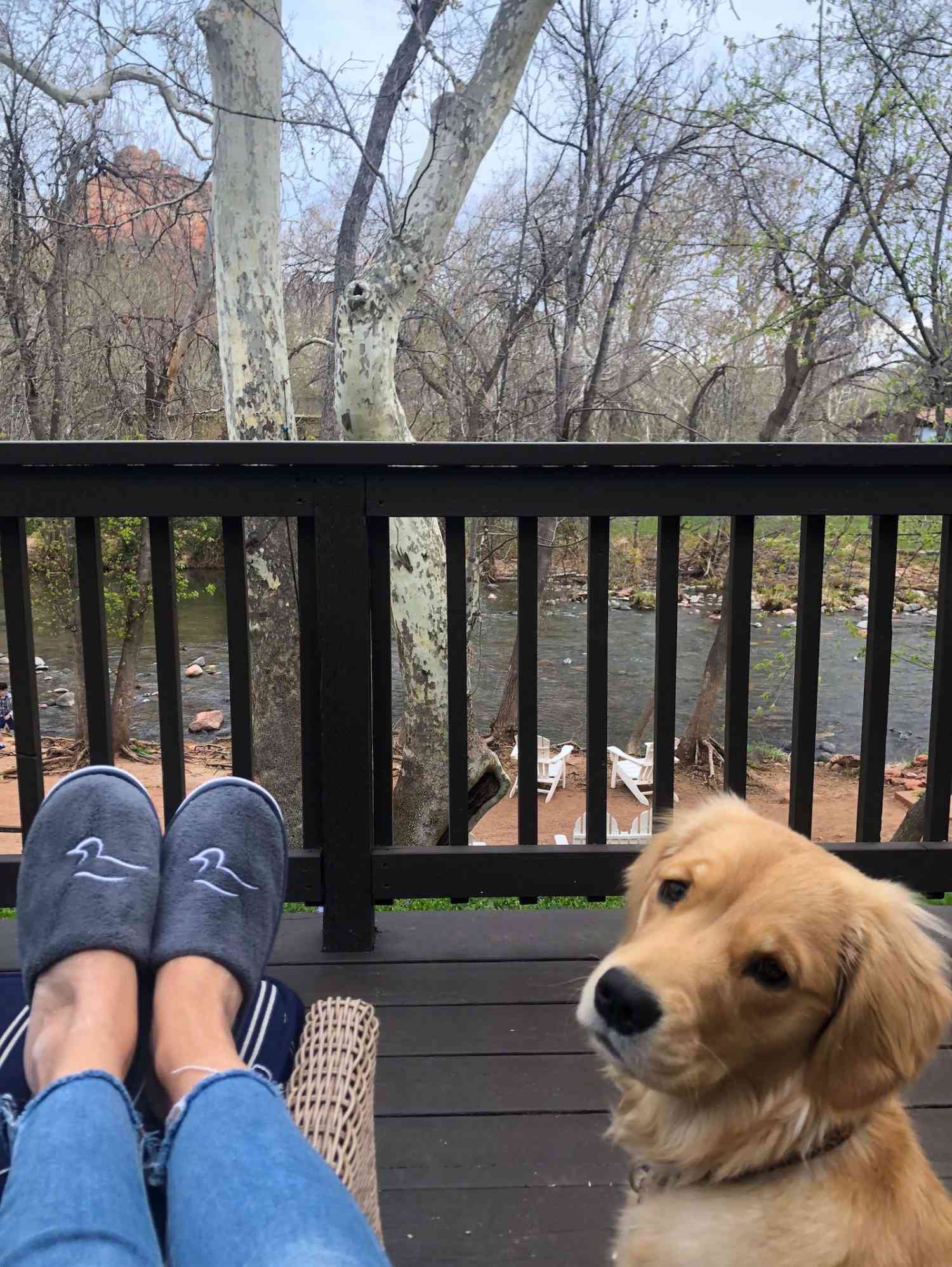l'auberge de sedona arizona hôtel acceptant les chiens