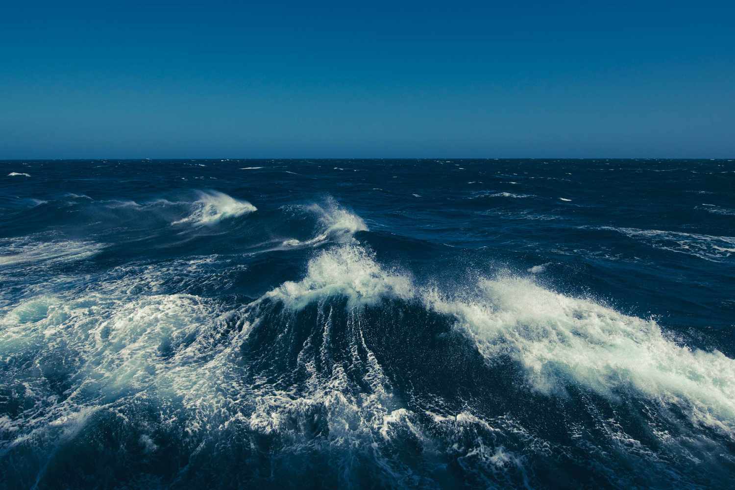 Cette compagnie de croisière facilitera les voyages en Antarctique l’année prochaine — Voici comment.